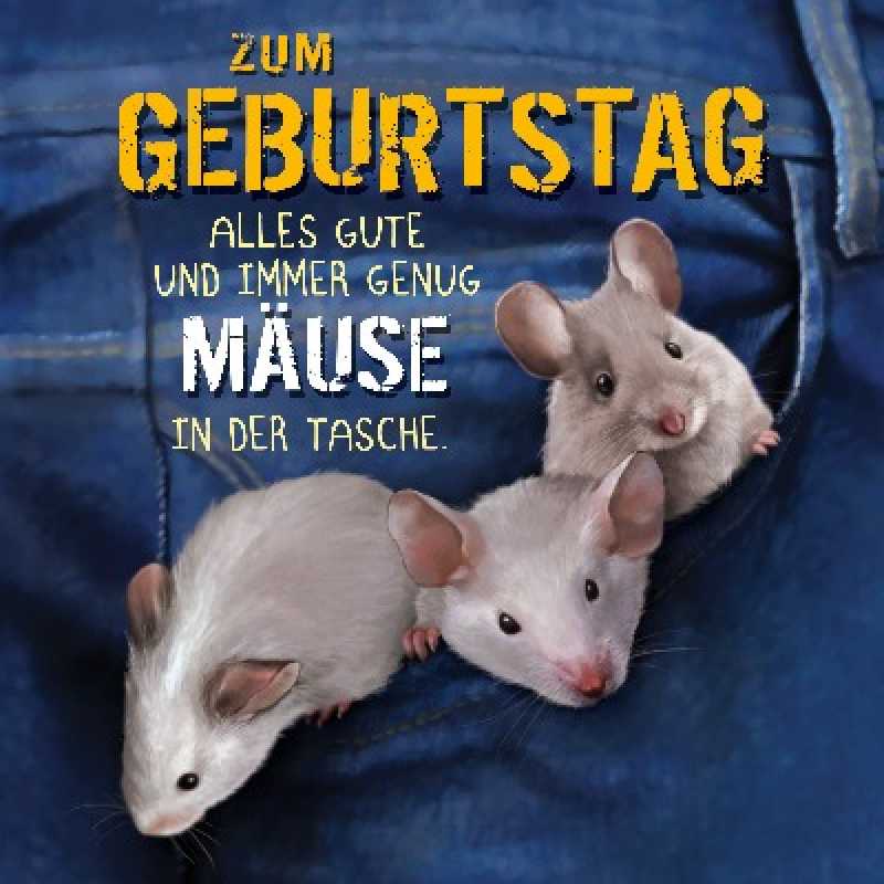 Zum Geburtstag alles Gute und immer genug Mäuse...