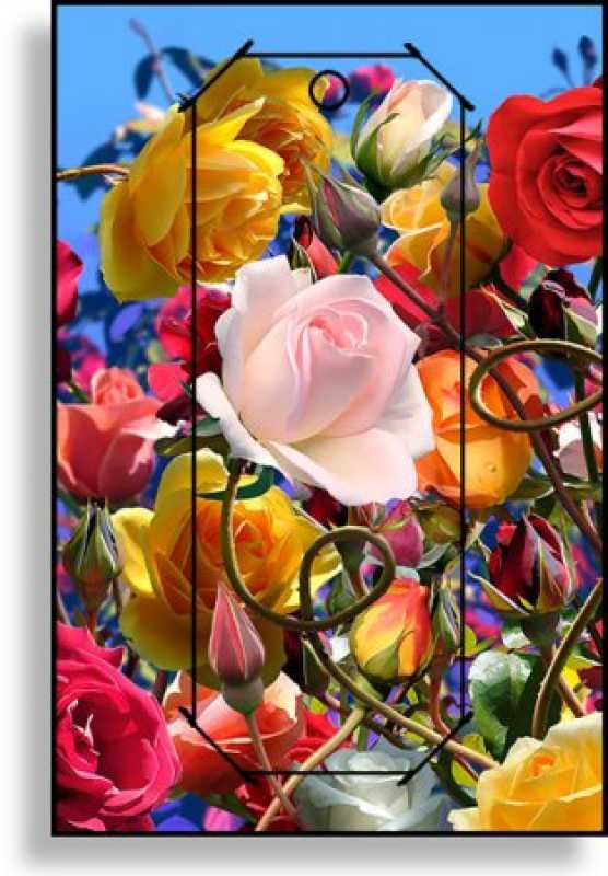 3D Grußkarte Rosen
