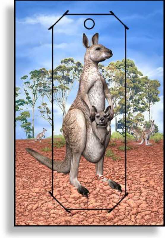 3D Grußkarte Känguru