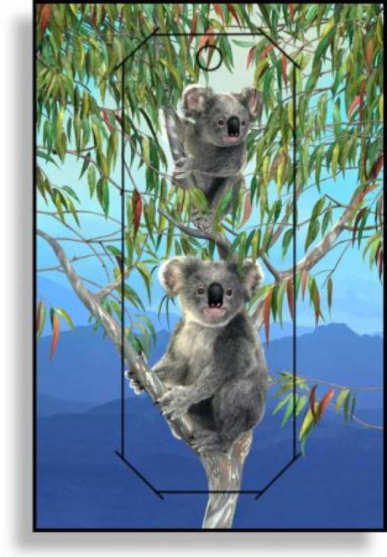 3D Grußkarte Koalas