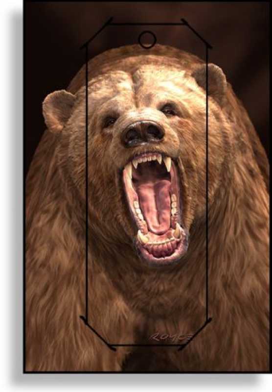 3D Grußkarte Grizzly