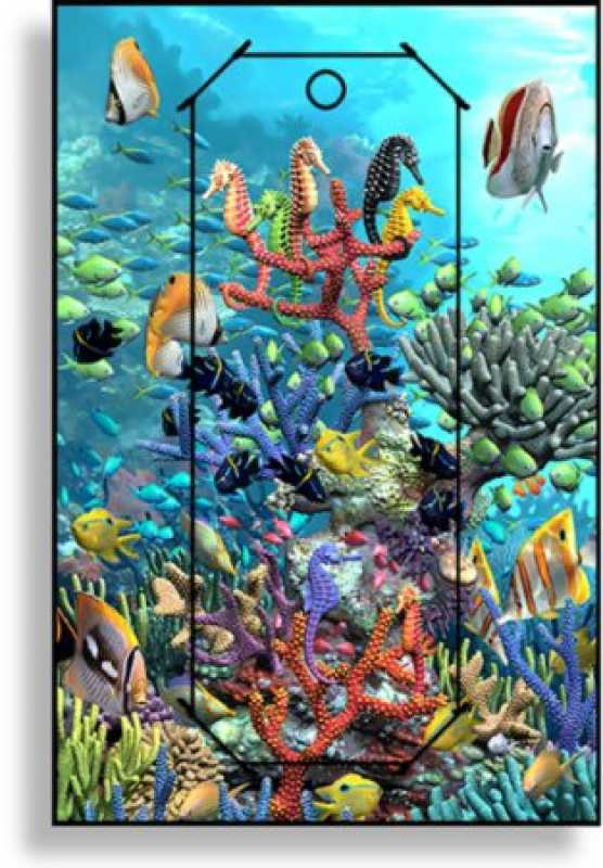 3D Grußkarte Wasserwelt