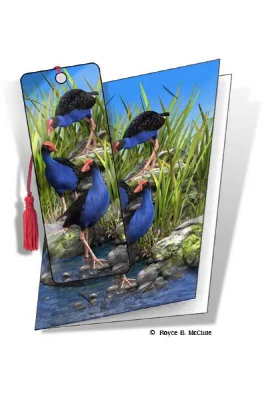 3D Grußkarte Wet Feet