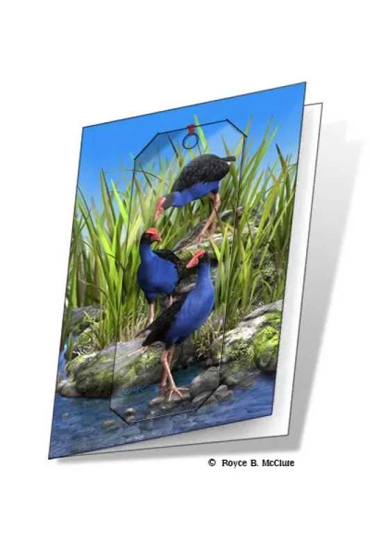 3D Grußkarte Wet Feet