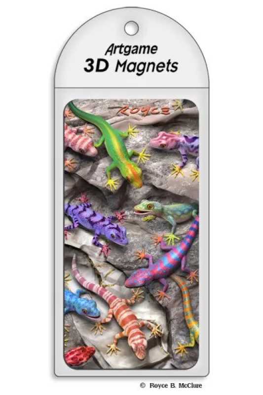 3D Magnet Geckos