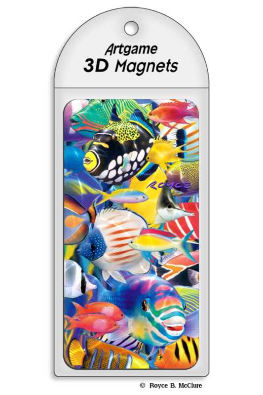 3D Magnet bunte Fische