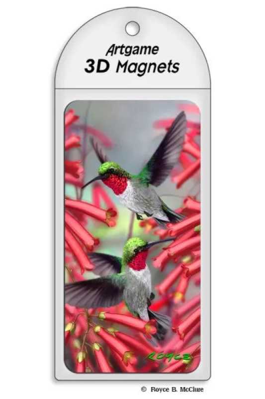 3D Magnet Kolibris