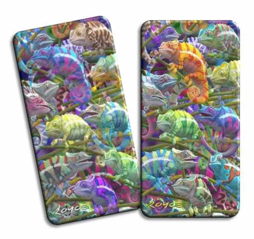3D Magnet Chamäleons