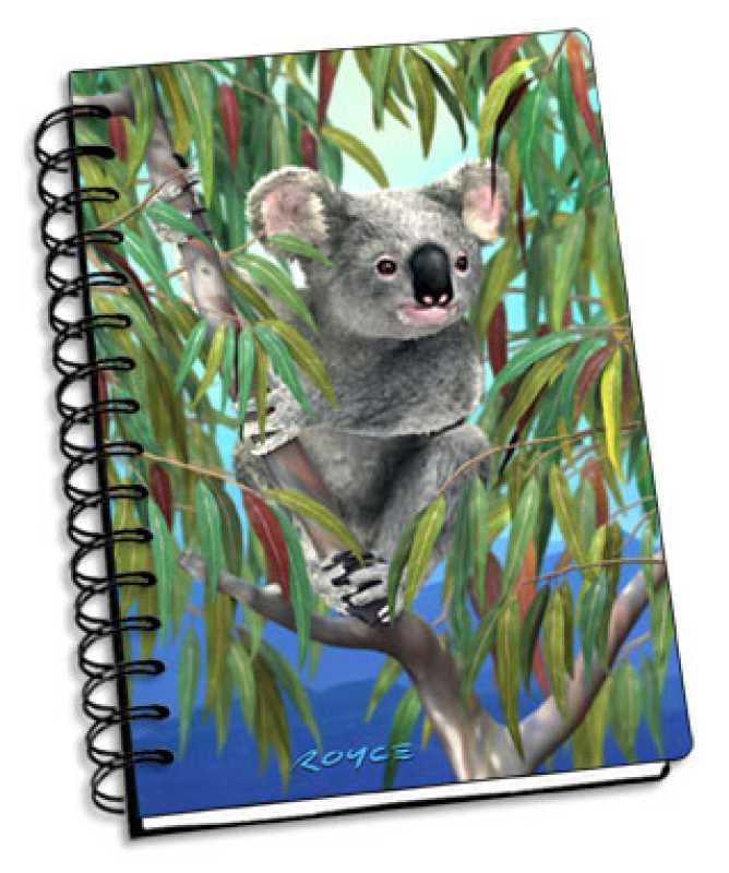 Koala