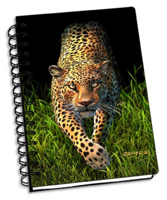 Leopard