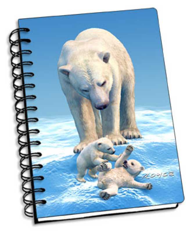 Eisbären