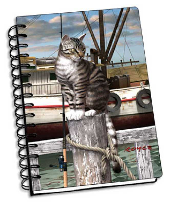 Katze