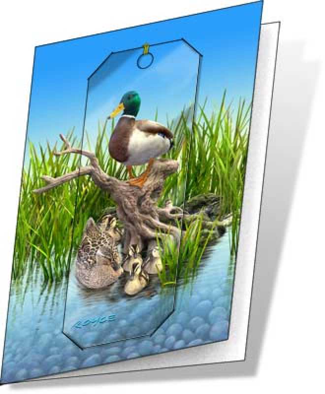 3D Grußkarte Enten