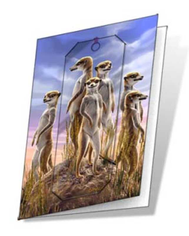 3D Grußkarte Erdmännchen