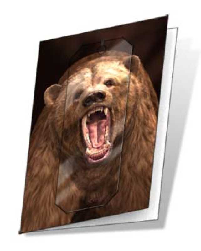 3D Grußkarte Grizzly