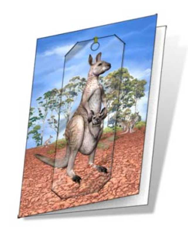 3D Grußkarte Känguru