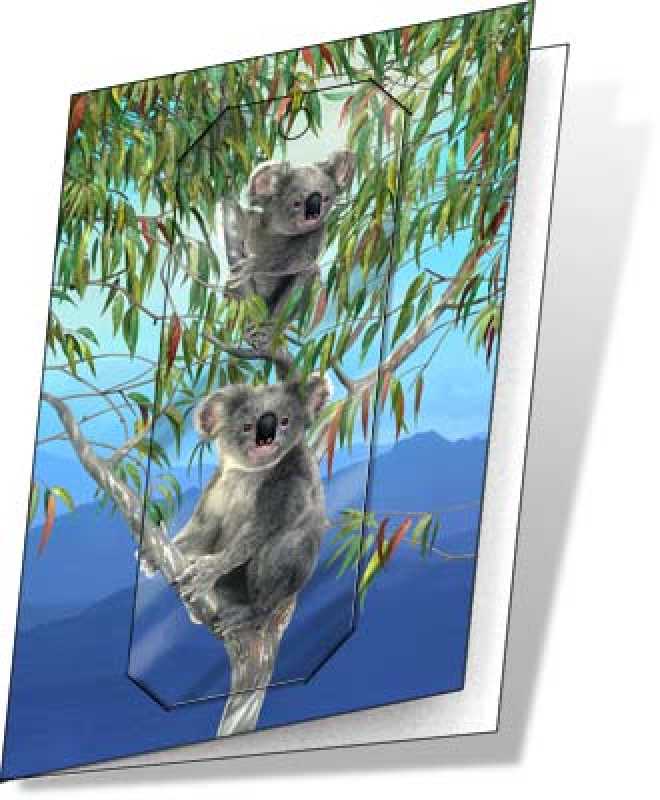 3D Grußkarte Koalas