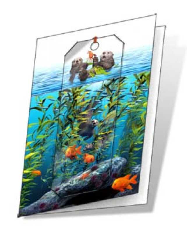 3D Grußkarte Seeotter