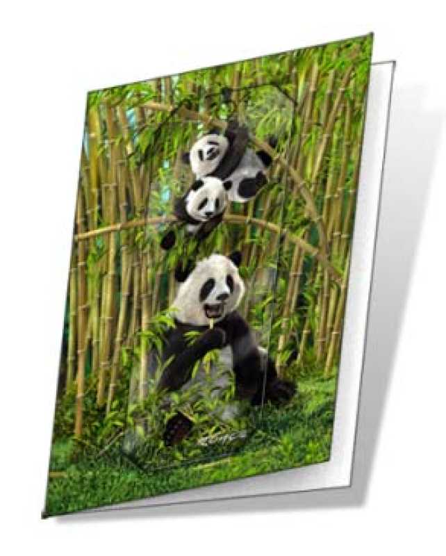 3D Grußkarte Pandas