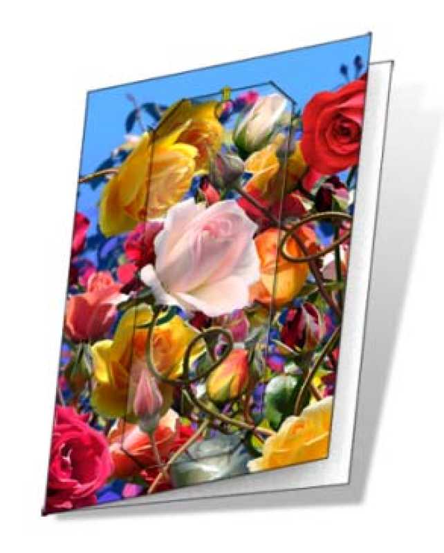 3D Grußkarte Rosen