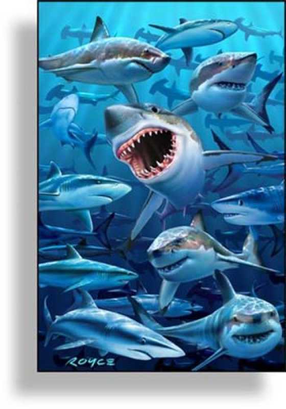 3D Puzzle Haifische
