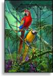 3D Grußkarte Papageien