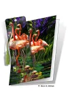 3D Grußkarte Flamingos