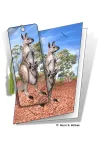 3D Grußkarte Känguru