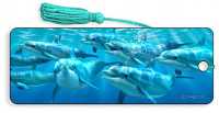 3D Lesezeichen Dolphin Pals